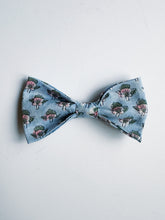 Load image into Gallery viewer, Clip-on Bow Tie (Multiple Options)